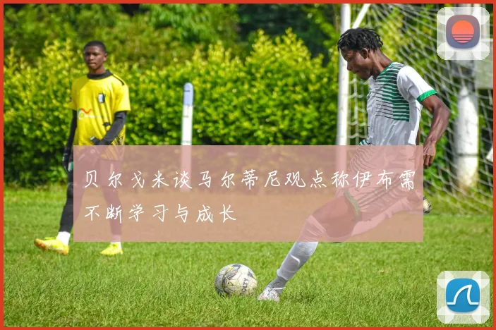 贝尔戈米谈马尔蒂尼观点称伊布需不断学习与成长