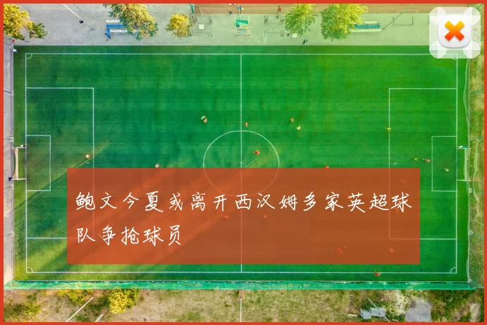 鲍文今夏或离开西汉姆多家英超球队争抢球员